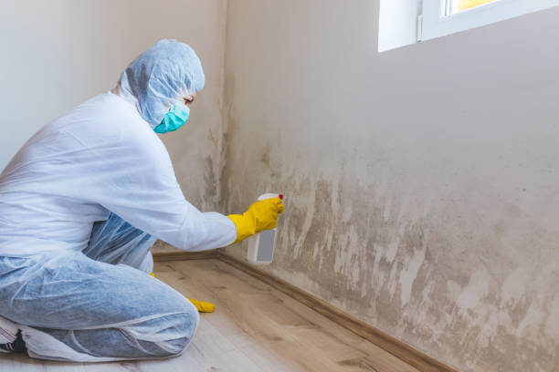 Hvac And Air Duct Mold Remediation inspection of HVAC system in Lumberton